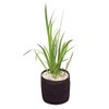 Velda Plant Basket, Plastic or metal (unsafe), Black