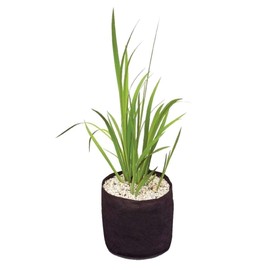Velda Plant Basket, Plastic or metal (unsafe), Black