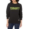 Carhartt womens Midweight Relaxed Fit Graphic Crew Neck Sweatshirt Sweater,