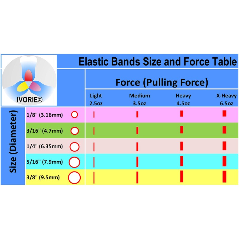 IVORIE® Teeth Gap Bands Orthodontic Bands Clear Dental Elastic Bands