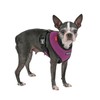 Puppia Soft Harness, XL, Purple