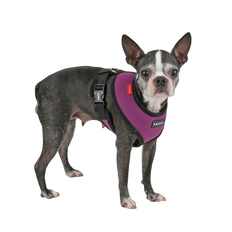Puppia Soft Harness, XL, Purple