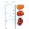 Carnelian Medium Crystal Tumbled Stone - 1 Pc