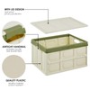 Phyllia Foldable Storage Boxes with Lids, 3 Pack Collapsible Plastic