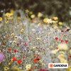 GARDENA adapter: thread adapter for connecting internal thread (G 3/4
