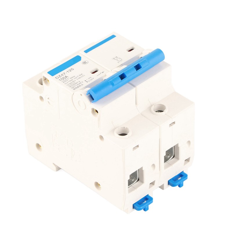 400V 80/100/125A Leakage Protection Switch DZ47‑125 2P​ Current Miniature Circuit