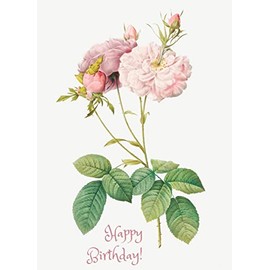 PIXILUV HAPPY BIRTHDAY Greeting card ~ Soft Pink Roses and Green Leaves ~ Birthday Wishes Vintage Large Greeting Card