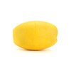 QWORK Oval Water Float, 6 Pack, 1/2" Hole, 3.5" x