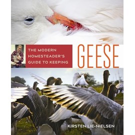 The Modern Homesteader's Guide to Keeping Geese