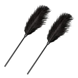 JIHUOO 2 Pcs Feather Cleaning Dusters Soft Feather Tickler Feather Teaser Wands Valentines Day Couple Toys Couples Games for Adults