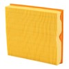 Purflux A1029 Air Filter