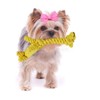 Puppy Chew Toys for Teething,Dog Toys Puppy Teething Chew Rope