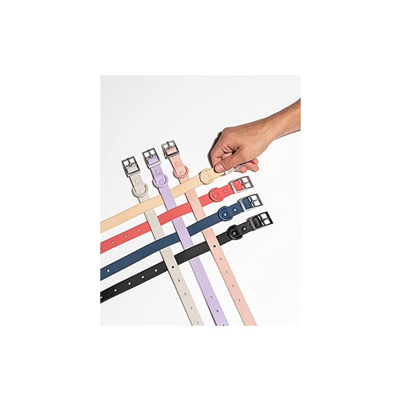 Wild One Collar - X Small - Grey