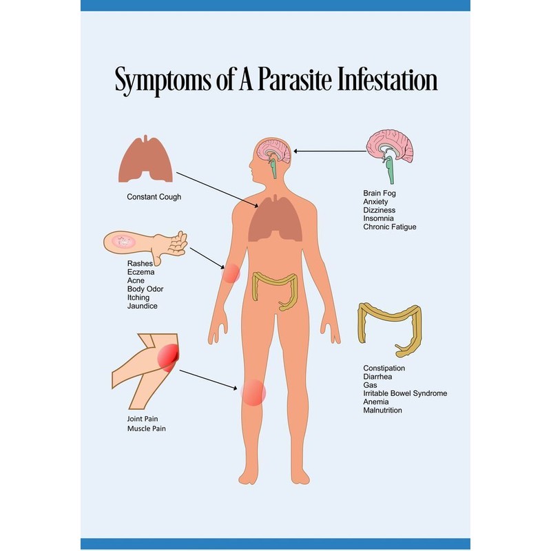 Kill Candida Capsules - Anti Parasite Cleanser 1485mg - Pectin