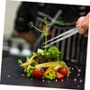 Outanaya 5Pcs Succulent Tweezers Tool Stainless Steel Gardening Tools for