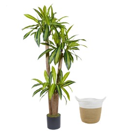 Warmplants Artificial Dracaena Tree, 6ft Tall Fake Dracaena Plant with Basket, Indoor Outdoor Faux Topiary Yucca Trees for Office Home Living Room Porch Patio Décor