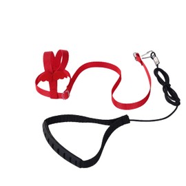 Kaitao Bird Harness, Leash Bird,for Large Medium Birds,Parrot Harness and Parrot Leash Supplies (Red)