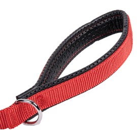 GoGo Pet Products 3/4-Inch Wide Comfy Nylon Dog Leash, 4-Feet Long, Red