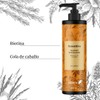 Ebers Sulphate-free repair shampoo 250 ml (biotin and horsetail) colour