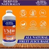 Buried Treasure VM100 Daily Multi Liquid Vitamins and 70 Minerals
