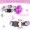 Weewooday 4 Pcs Spring Cat Collar for Cats Cat Collars