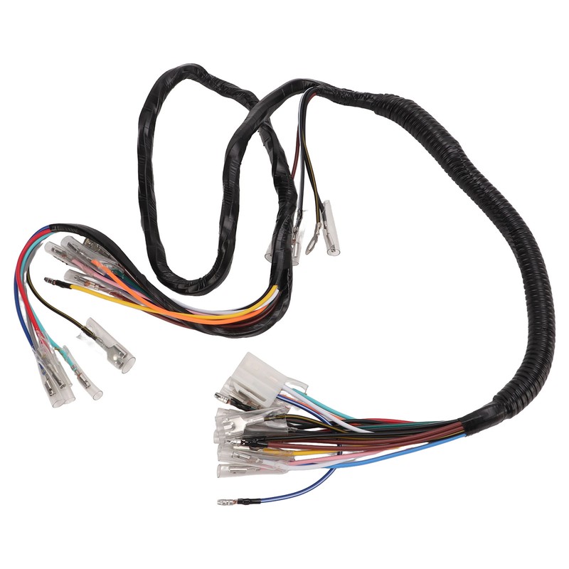 Vehicle Complete Main Electrical Wiring Harness with Connectors Automotive Replacement