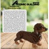 Atomic Building Dachshund/Teckel brown dog. Figure to assemble with nanoblocks.