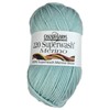 Cascade Yarn - 220 Superwash Merino - Pastel Turquoise 90