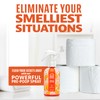 ANGRY ORANGE Toilet Tamer Bathroom Spray - Citrus Orange Spice