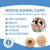 Wood Dowel Caps 1-1/4 inch Diameter with 1/2 inch Hole,