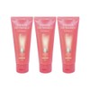 Silk Therapy Heat Enhancer Hair Treatment Protein Heat Strengthening for Damaged Hair Travel Size 100ml, 3 Pieces / 실크테라피 히트 인핸서 헤어 트리트먼트 단백질 손상모 열강화 여행용 100ml, 3개