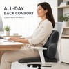 Memory Foam Lumbar Support Cushion for Car & Office Chair