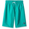 Speedo Swim Volley - Bañador para Hombre, Baño Tronco Largo