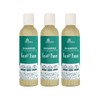 Pack 3 Shampoo | Con TEA TREE (Árbol de Té)