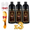 Shampoo Tinte Instantáneo Cubre Canas Natural Jengibre 3pz F