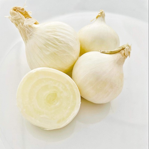 Kejora Fresh Boiler Onions/Boiling Onions 4 LB