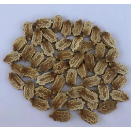 Fresh Bitter Melon 50 Seeds Package Fresh Harvested US Seller