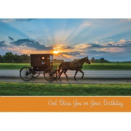 Greeting Cards Assortment Box - A Simple Life (KJV) - Birthday Greeting Cards - Christian Greeting Cards Assortment with Envelopes - Bible Verse Cards - Scripture Cards with Bible Verses - Box of 12