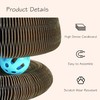 Cat Scratcher Cardboard with Bell Ball Toy for Indoor Cats,