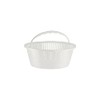 Astral Pool Skimmer Basket for Astral Skimmer 17.5 | Original