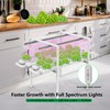 DPROOTS NFT Hydroponic Growing System Kit - Full-Spectrum Grow Lights
