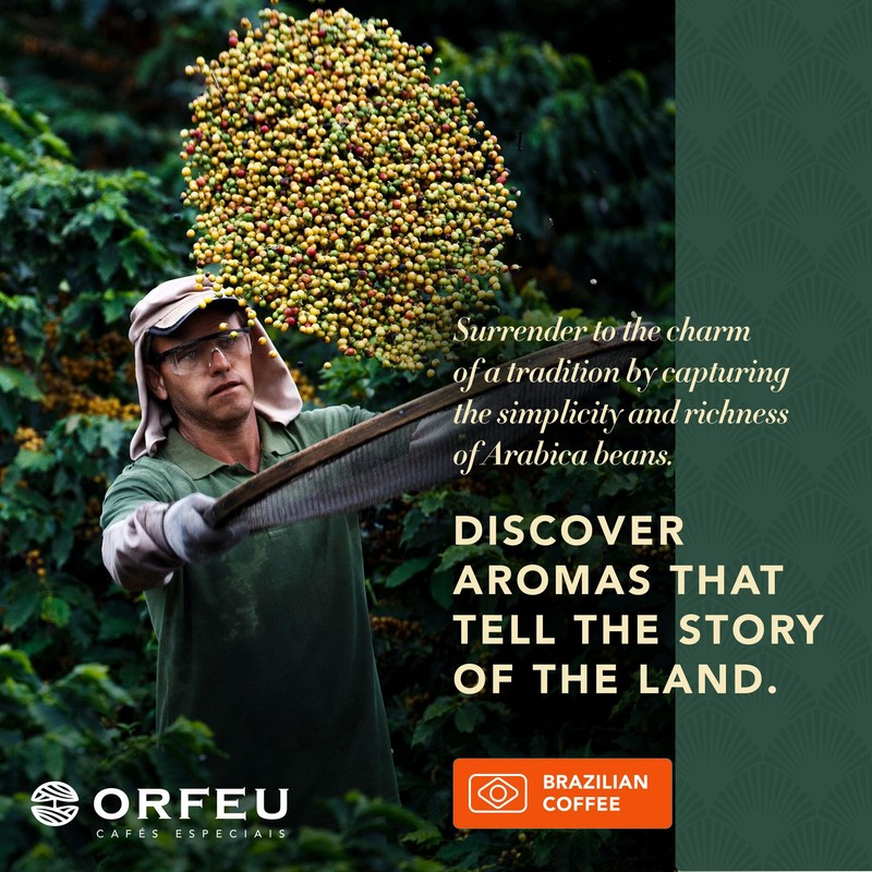 ORFEU - Special Coffee Beans - 100% Arabica, Medium Roast