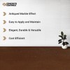 CC Concrete Coatings Vivid Acid Stain for Concrete | Mission
