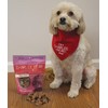 Charlee Bear Bearnola Bites Dog Treats, Cranberry Cobbler Flavor, 8oz