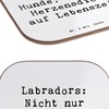 Mr. & Mrs. Panda Glasuntersetzer Spruch Labrador Herzensdiebe - Geschenk,