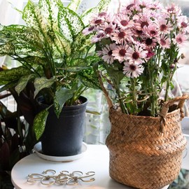 2PCS Plant Stem Support Green Alloy Plant Cage Monstera Leaf Plant Flower Shaped Support Ring Climbing Houseplant Stem Supports Durable Monstera Stabilizer for Plant Stakes Holder