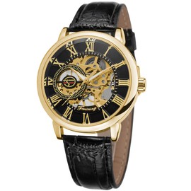 Dentily Classic Mechanical Hand-Wind Watch Men's Skeleton Watch Leather Strap Mens Watches