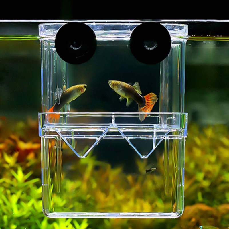 FGXY Aquarium Fish Breeding Box, Plastic Fish Isolation Box, Multi-Functional