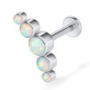 hengkaixuan 16G G23 Titanium Flat Back Labret Studs Internal Thread
