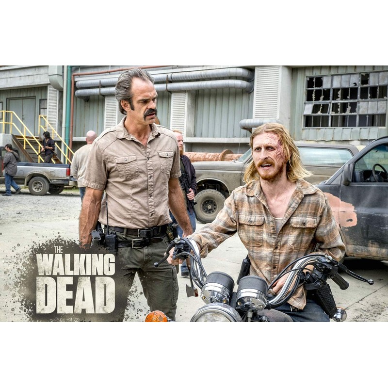 The Walking Dead - Staffel 8 [6 DVDs]